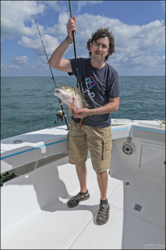 Mutton snapper, он же - светлый луциан, он же - рифовый король – один из самых популярных видов морской рыбы во Флориде и южных штатах США.