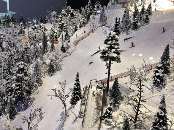 Костромской горнолыжный спуск. За сосной в центре на сноуборде спускается Снегурочка.