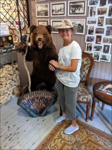 Медведь собирает средства для бездомных животных.