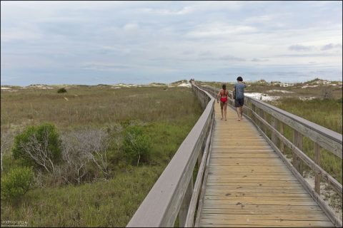 Shell Island — длинный узкий барьерный остров у побережья Флориды, прямо напротив Panama City Beach (Панама-Сити-Бич) в Мексиканском (Американском) заливе.