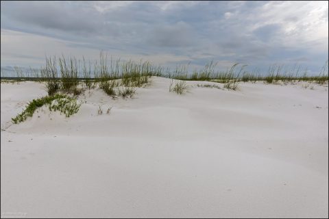 Для острова Shell Island характерны широкие белоснежные песчаные пляжи и дюны. Здесь нет построек, ресторанов и магазинов — чистая природа.