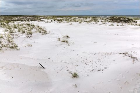 На остров Shell Island во Флориде нельзя приехать на машине, только по воде.