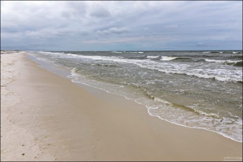 Дикий пляж на острове Shell Island.