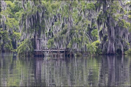 Платформа для гнездования птиц. Часто такие платформы расположены среди деревьев и не соединены с берегом — чтобы избежать вмешательства человека и хищников.
