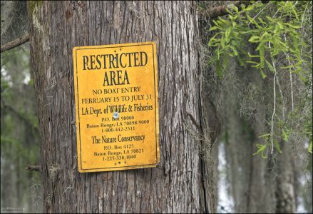 Ограничение на движение лодок в период с февраля по июль на озере Мартин в Луизиане введено с целью защиты мест гнездования различных видов птиц.