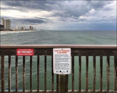 Знаки на пирсе Russell-Fields Pier, призывающие не ругаться матом и распутывать морских птиц из рыболовных снастей.