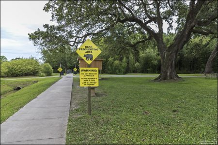 В окрестностях фабрики Tabasco на острове Avery Island, Louisiana.