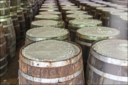 Перцы (собранные на острове Avery Island) превращают в пасту, смешивают с солью и закладывают в бочки из белого дуба.
Этот "полуфабрикат" выдерживают в этих бочках до 3 лет. Соль проникает внутрь, ферментация идёт естественным образом, и за это время паста меняет вкус, становится глубже и мягче.
Бочки раньше использовались для виски и бурбона, но теперь — для соуса. На каждой бочке ставят печать с инициалами, датой закладки пасты и номером партии.
Это делает процесс похожим на выдержку вина или виски, что добавляет Tabasco особый престиж.