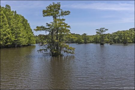 Озеро Chicot является частью парка Chicot State Park в центральной части Луизианы.