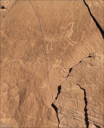 Большая часть петроглифов представлена схематичными изображениями оленей.