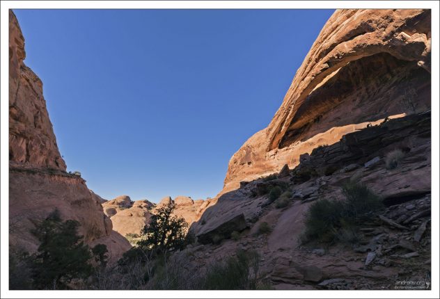 Longbow Arch (арка «Длинный лук») - природная каменная арка в районе Моаба, штат Юта.