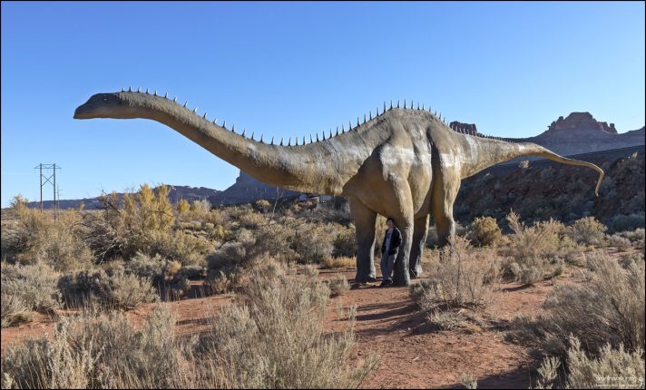 Ученые предполагают, что Diplodocus мог использовать хвост как звуковой хлыст, создающий щелчок громкостью более 200 дБ.