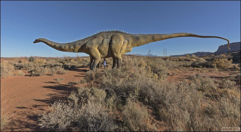Diplodocus longus — один из самых известных и легко узнаваемых динозавров, настоящий символ юрского периода. Он жил около 150 миллионов лет назад на территории современного запада США, в том числе в штатах Вайоминг, Колорадо, Монтана и Юта.