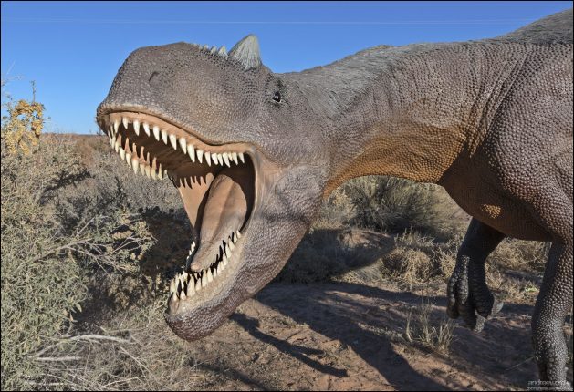 Аллозавр (Allosaurus) — один из самых известных хищных динозавров юрского периода и, возможно, главный хищник своего времени. Его имя означает «инаковый ящер» (от греч. allos — другой, sauros — ящер), потому что его позвонки отличались от всех, известных на момент открытия.
Самый полный скелет — подросток по имени "Большой Эл" (Big Al) — был найден в Вайоминге. Второй скелет — Big Al II — хранится в Швейцарии.