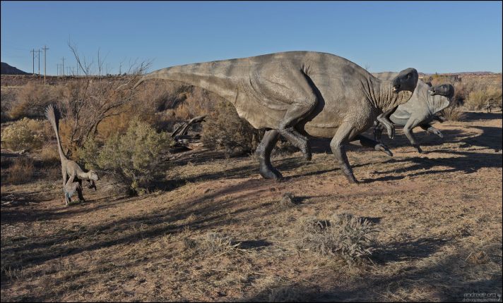 Игуанодоны (Iguanodon) — одни из первых динозавров, которых узнала наука. Эти крупные травоядные жили в начале мелового периода и были одними из самых распространённых динозавров своего времени. Название означает «зуб игуаны» — по сходству зубов с современными игуанами, хотя сам ящер был значительно крупнее.
Этих динозавров можно считать коровами раннего мелового периода, они были основной добычей хищников, тех же дейнонихов.