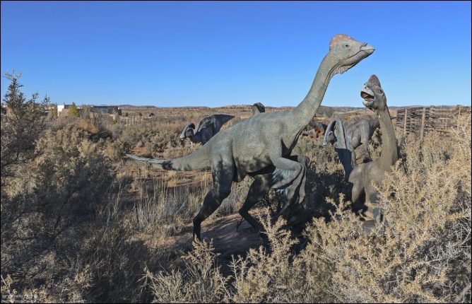 Oviraptor (лат. "похититель яиц) — один из самых ярких, необычных и долгое время несправедливо оклеветанных динозавров. Его облик похож на смесь попугая и страуса с хохолком на голове, и он сыграл ключевую роль в понимании эволюции пернатых динозавров.
Когда первый Oviraptor был найден в 1924 году, он лежал над кладкой яиц. Ученые тогда решили, что он ворует яйца другого динозавра — протоцератопса (Protoceratops), рядом с которым был найден.
Позже выяснилось, что это были его собственные яйца, и он, вероятно, высиживал потомство.