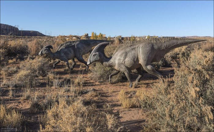 Паразавролоф (Parasaurolophus) — один из самых узнаваемых динозавров мелового периода, знаменитый своим длинным изогнутым гребнем, который возвышался над головой как труба.
Гребень, по мнению ученых, выполнял функцию резонатора, позволял издавать громкие низкие звуки.
Это один из первых динозавров, у которых был воссоздан "голос" — учёные создали 3D-модель гребня и выяснили, что он звучал как громкий басовый рог.