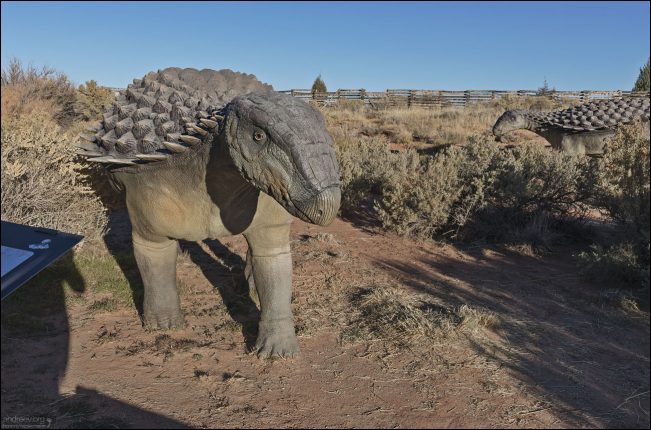 Niobrarasaurus coleii — это редкий представитель панцирных динозавров (анкилозавров), обитавший в Северной Америке в конце мелового периода. Он известен по частичному скелету, найденному в штате Канзас, и интересен тем, что его остатки были обнаружены в морских отложениях, что довольно необычно для сухопутного динозавра.
Как и все анкилозавры, Niobrarasaurus имел тяжёлую броню, состоящую из остеодерм — костных пластин, вросших в кожу.
