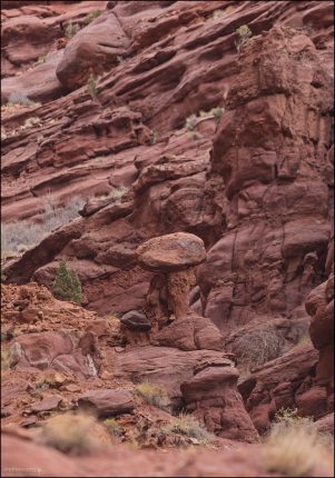 Каменный гриб.