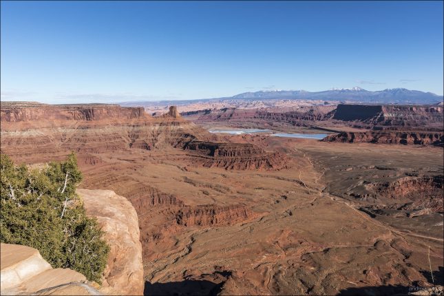 Обзорная площадка Rim Overlook в парке Dead Horse Point State Park.