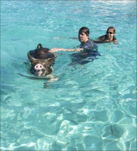 У каждой свиньи свой характер. Многие дружелюбны и любопытны.