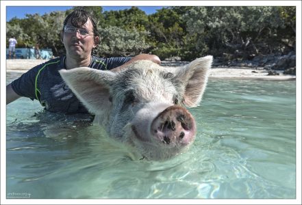 Портрет с улыбающимся Пятачком :)