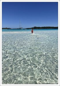 Песчаная отмель Compass Cay Sandbar очень популярна среди яхтсменов.