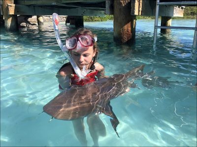 Название «акула-нянька» связано с их спокойным поведением и присутствием вблизи людей. Они часто позволяют ныряльщикам и туристам гладить себя, не проявляя агрессии.