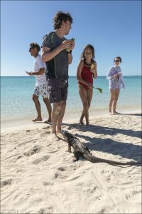 Днём игуаны активны, любят греться на солнце на камнях и скалах. Могут быстро передвигаться и плавать, если нужно.