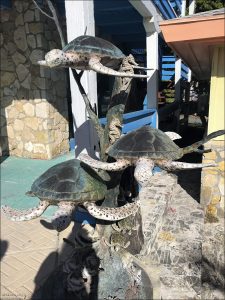 Черепаховая инсталляция на острове Stocking Island.