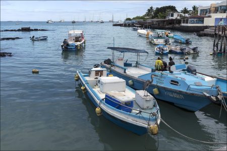 Рыбацкие лодки в порту города Пуэрто-Айора (остров Санта-Крус, Галапагосы).