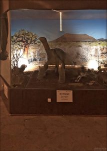 Одинокий Джордж (Lonesome George) — самая известная гигантская галапагосская черепаха, ставшая символом борьбы за сохранение природы.
Джордж был последним известным представителем подтипа черепах с острова Пинта (Chelonoidis abingdonii).
Несмотря на все усилия ученых, Джордж не смог дать потомство, даже после скрещивания с самками других подвидов.
Это подчеркнуло уникальность каждого подвида и важность сохранения генетического разнообразия.
Джордж прожил около 100 лет, умер в 2012 году.
После смерти Джорджа его останки были забальзамированы и выставлены на обозрение на исследовательской станции имени Чарльза Дарвина на Санта-Крусе.