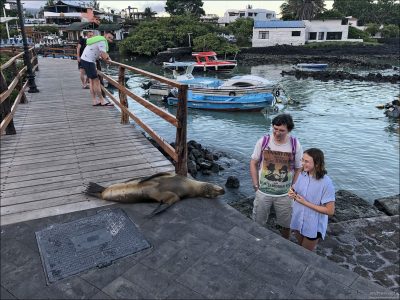 На острове Санта-Крус (как и на всём архипелаге) живёт только один вид морских львов — Галапагосский морской лев (Zalophus wollebaeki).