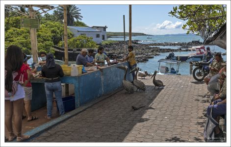Причалу около трёх десятилетий; он был построен специально для того, чтобы рыбаки могли выгружать и продавать улов, не мешая другим видам деятельности.