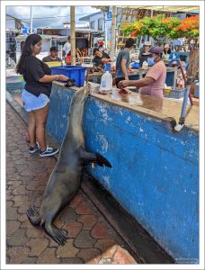 – Вы рыбов продаете или только показываете?
– Только показываем.
– Красивое.