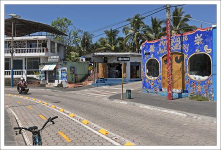 Avenida Charles Darwin — центральная улица города. Она тянется вдоль берега и соединяет ключевые точки: порт, пирс рыбаков (Muelle de los Pescadores), рестораны, магазины, дайв-центры и небольшие гостиницы.