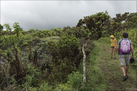 Кратеры образовались в результате обрушения подземных магматических камер, а не из-за извержений. Они представляют собой огромные «провалы» в земле, покрытые густым лесом.