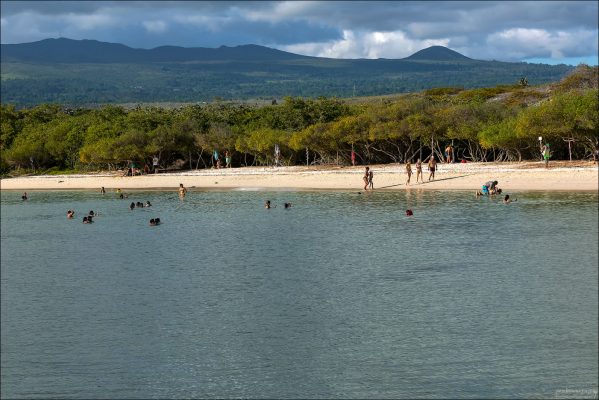 Mansa Beach (также называемый Playa Mansa или "спокойный пляж") - защищенная лагуна в заливе Tortuga Bay.