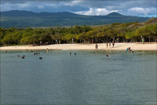 Mansa Beach (также называемый Playa Mansa или "спокойный пляж") - защищенная лагуна в заливе Tortuga Bay.
