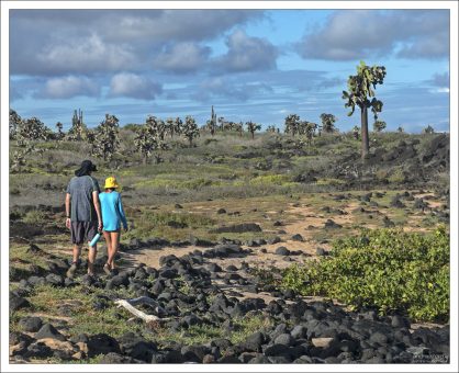 Инопланетная красота Галапагосов.