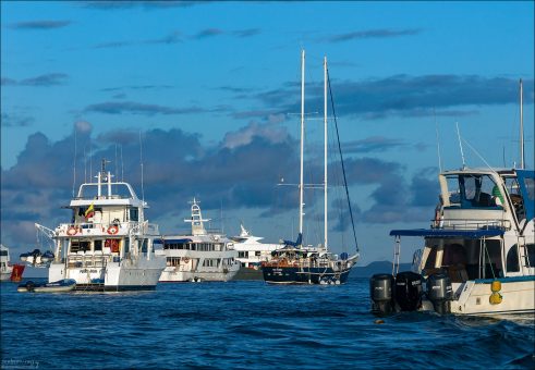 Парковка по-галапагосски: круизные суда и яхты ждут своих пассажиров в спокойных водах главной гавани острова Санта-Крус.