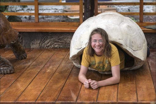 Саша примеряет на себя настоящий черепаховый панцирь :)