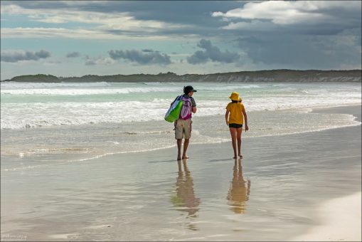 Tortuga Bay — одно из самых красивых и фотографируемых мест острова Санта-Крус и вообще всего архипелага Галапагос.