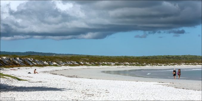 Плайя Тортуга Бэй считается одним из самых нетронутых пляжей архипелага.