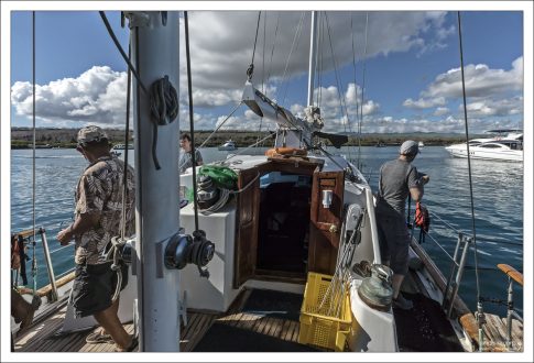 Зафрахтованная яхта от острова Санта-Круз до острова Северный Сеймур, Галапагосы.
