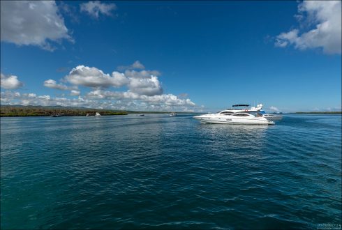 Почти все эти яхты — зафрахтованные (чартерные): они ходят по утверждённым маршрутам (4, 5, 8 или 15 дней), но турист может купить место на конкретный рейс или арендовать всю яхту для группы.