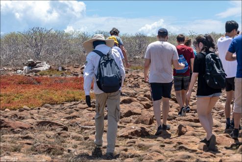 Остров Северный Сеймур вулканического происхождения, и фактически состоит из базальтовой лавы, застывшей после древних извержений.