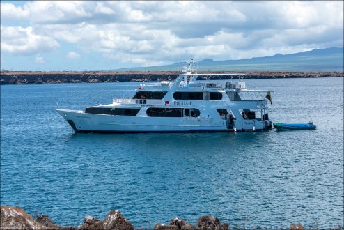 Pikaia I, роскошная исследовательская яхта, используемая для однодневных поездок на различные острова архипелага Галапагос.