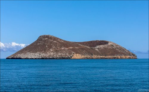 Daphne Major — это небольшой вулканический остров в центральной части Галапагосского архипелага, всемирно известный как одно из ключевых мест в истории современной эволюционной биологии.