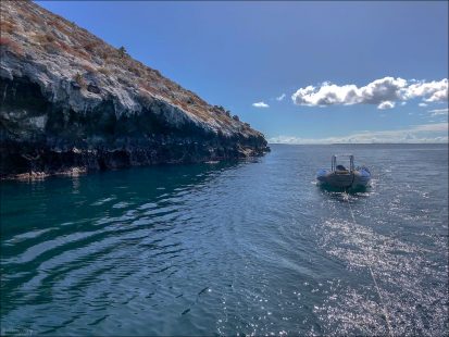 Daphne Major стал «живой лабораторией» эволюции благодаря долгосрочному исследованию вьюрков Дарвина, которое началось в 1973 году.
Именно здесь было наглядно доказано, что эволюция может происходить быстро, а не только в масштабах тысячелетий.
Остров закрыт для туристических высадок. Он лишён источников пресной воды и почти не имеет растительности. Основные обитатели — вьюрки, олуши, фрегаты и ящерицы.